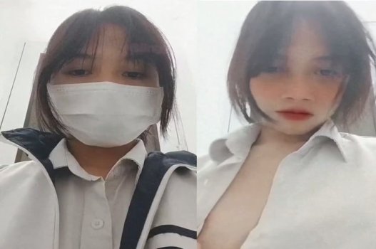 Làm việc với những con vật khổng lồ là điều học sinh thích thú